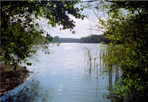 Bild: Grunewaldsee, Berlin 2003